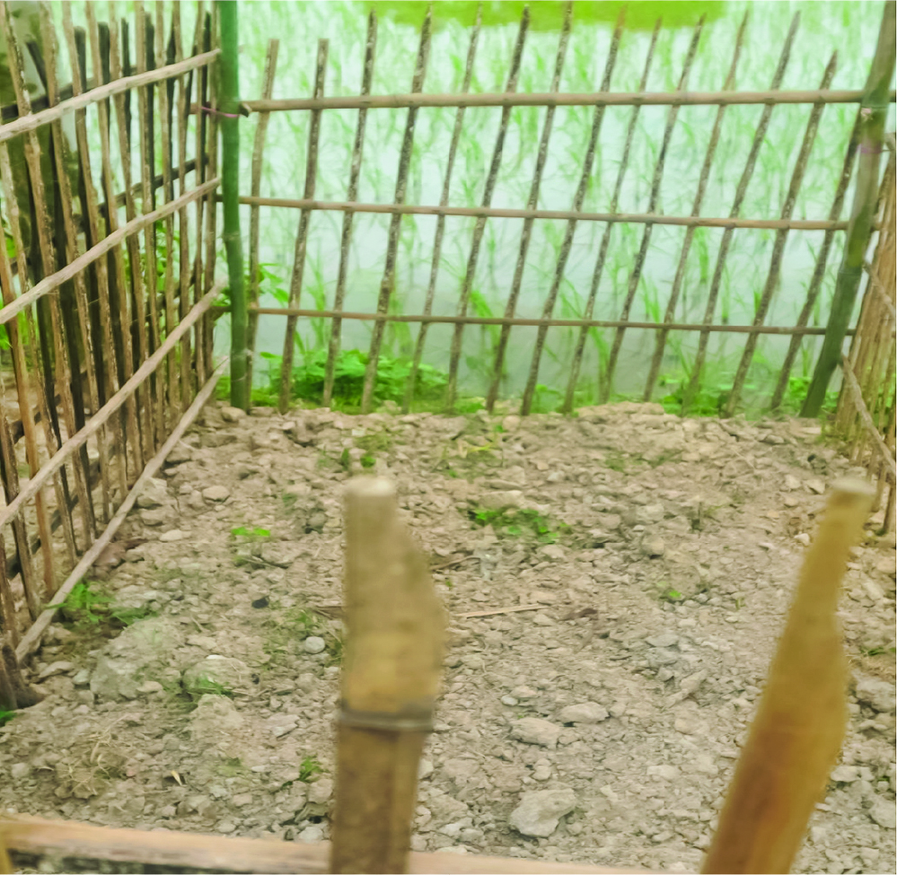 Image of মোহাম্মদ আশিকুল ইসলাম